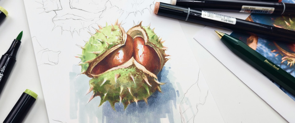 Реалистичный каштан спиртовыми маркерами