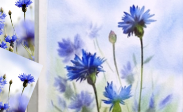 Рисуем васильки акварелью