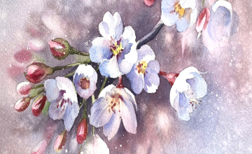 ЦВЕТЫ БЕЛОЙ ЯБЛОНИ