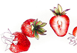 INSTAGRAM ЭФИР - КЛУБНИКА