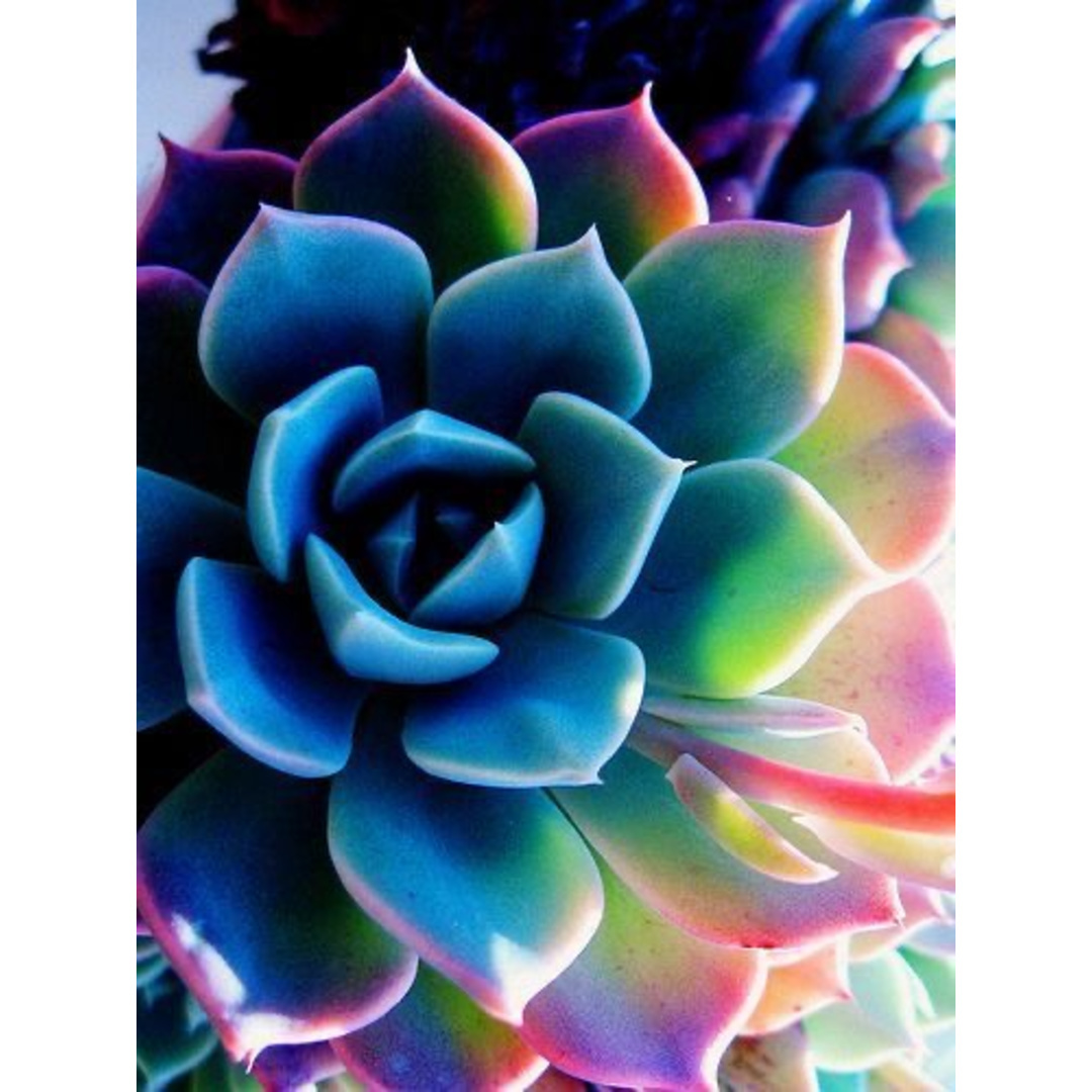 83614453_627033821390399_8546757764499607057_n.jpg (267 KB)